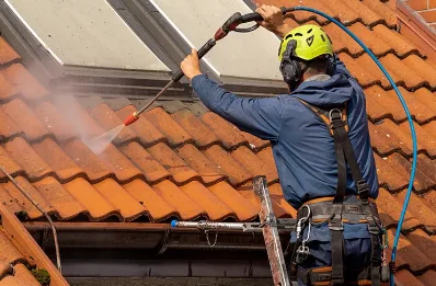 Démoussage et hydrofuge de toiture à Larajasse